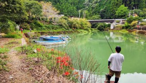 あじさいｷｬﾝﾌﾟ場下(お客様)1