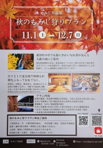 チラシ画像1