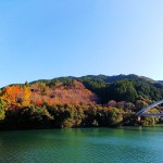 11月1日(土)～12月7日(日)秋のもみじ狩りプラン、、やります！