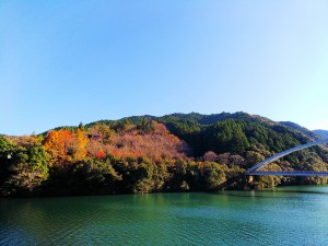 もみじ川紅葉画像1